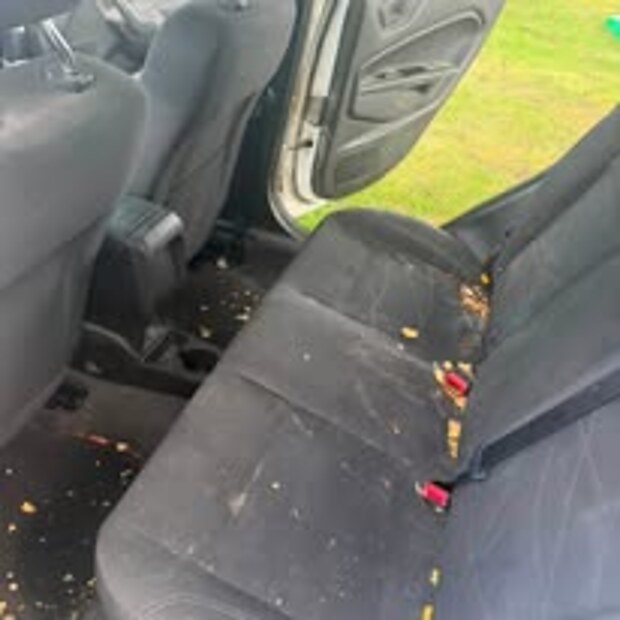 Ford Fiesta rear seat covered in crumbs and debris before cleaning