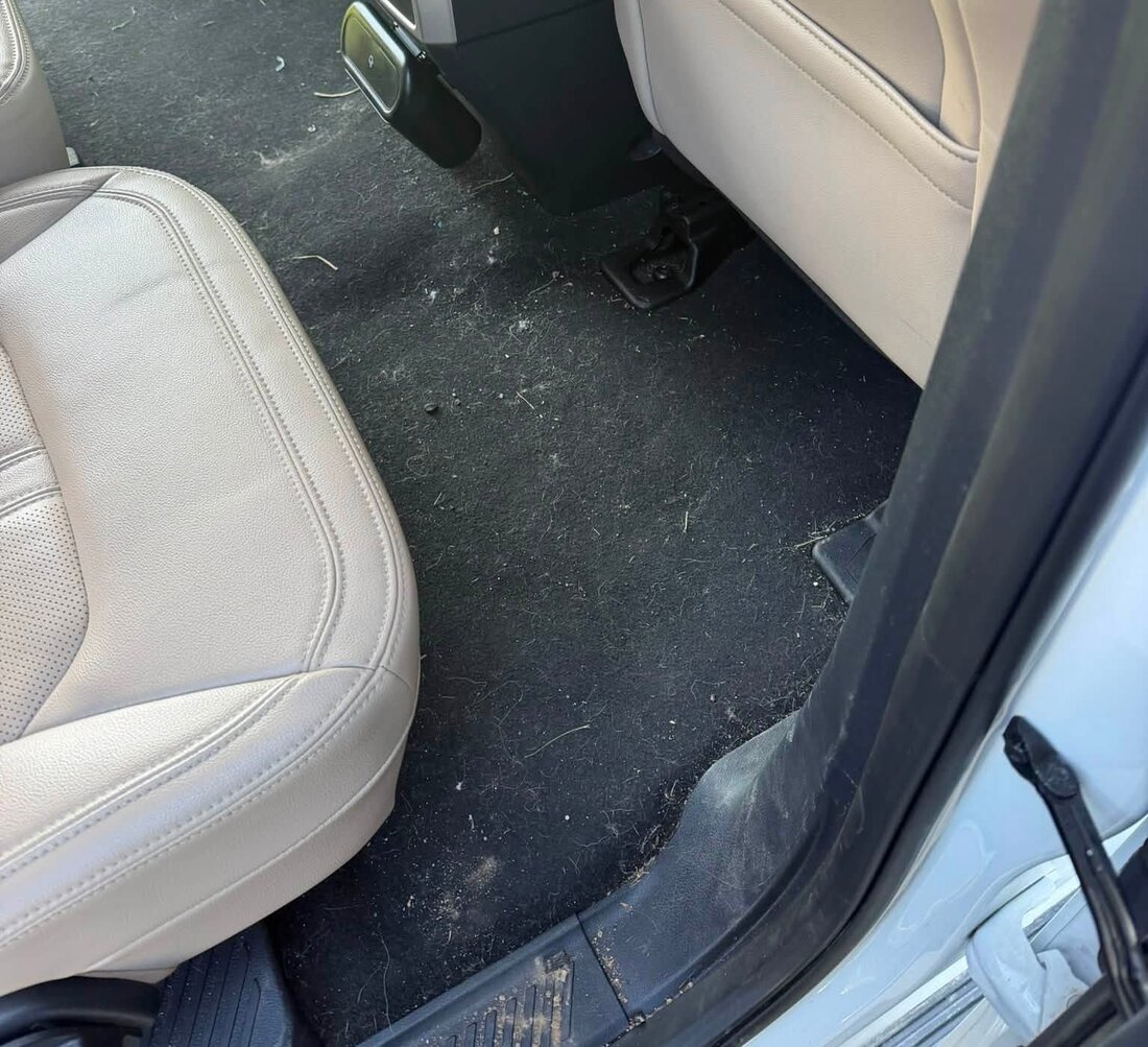 SUV second-row floor with debris and pet hair worked into the carpet before cleaning